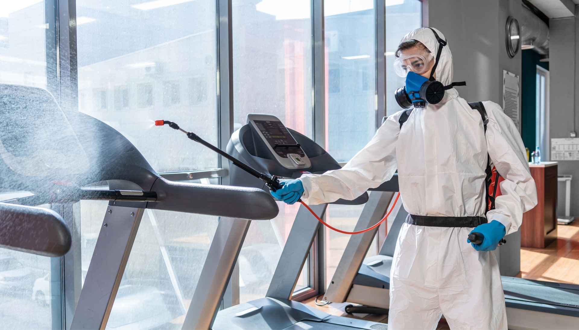 Commercial Mold Removal Services in Clarksville