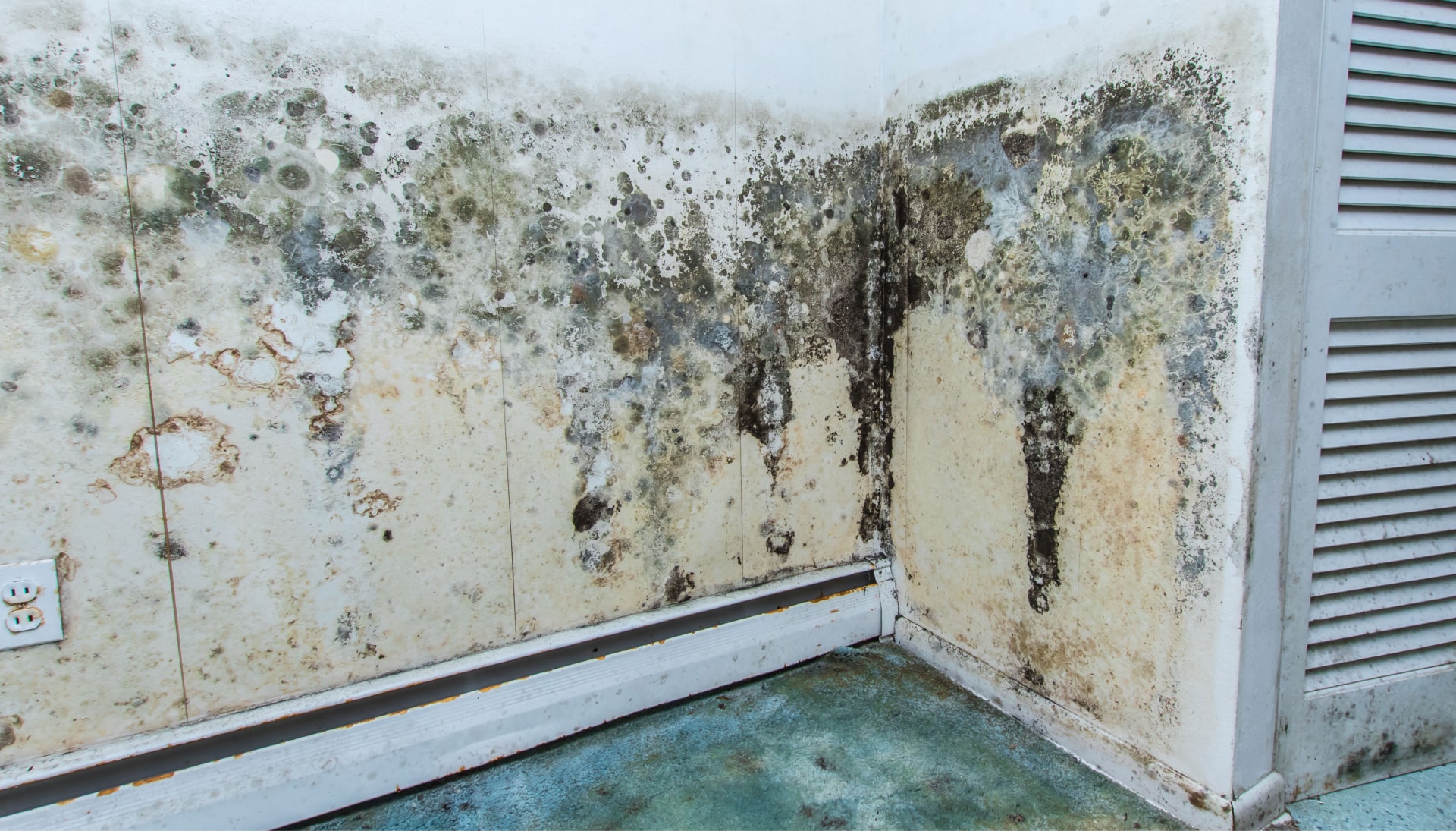 Mold Damage Odor Control Services in Clarksville